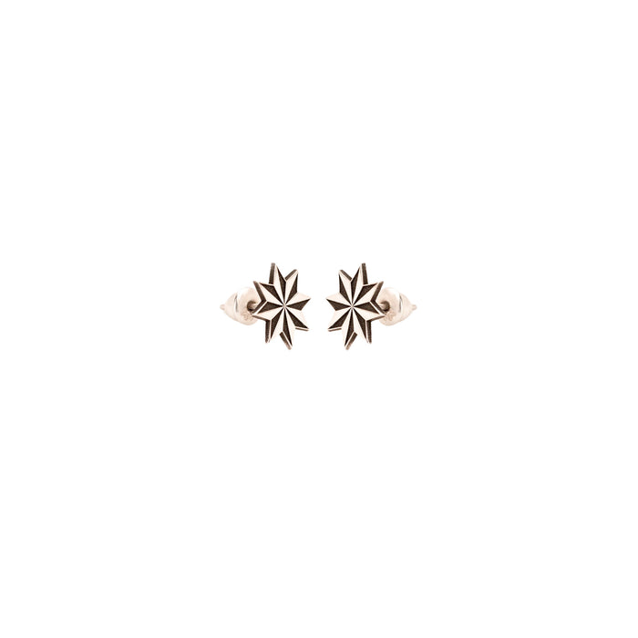 925 Sterling Silver Star Earring for Women